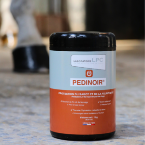 Pedinoir Pot