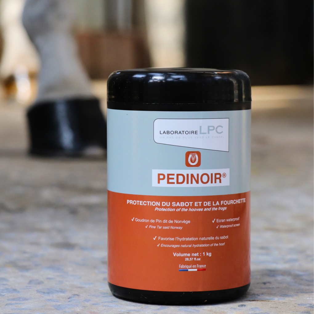 Pedinoir Pot